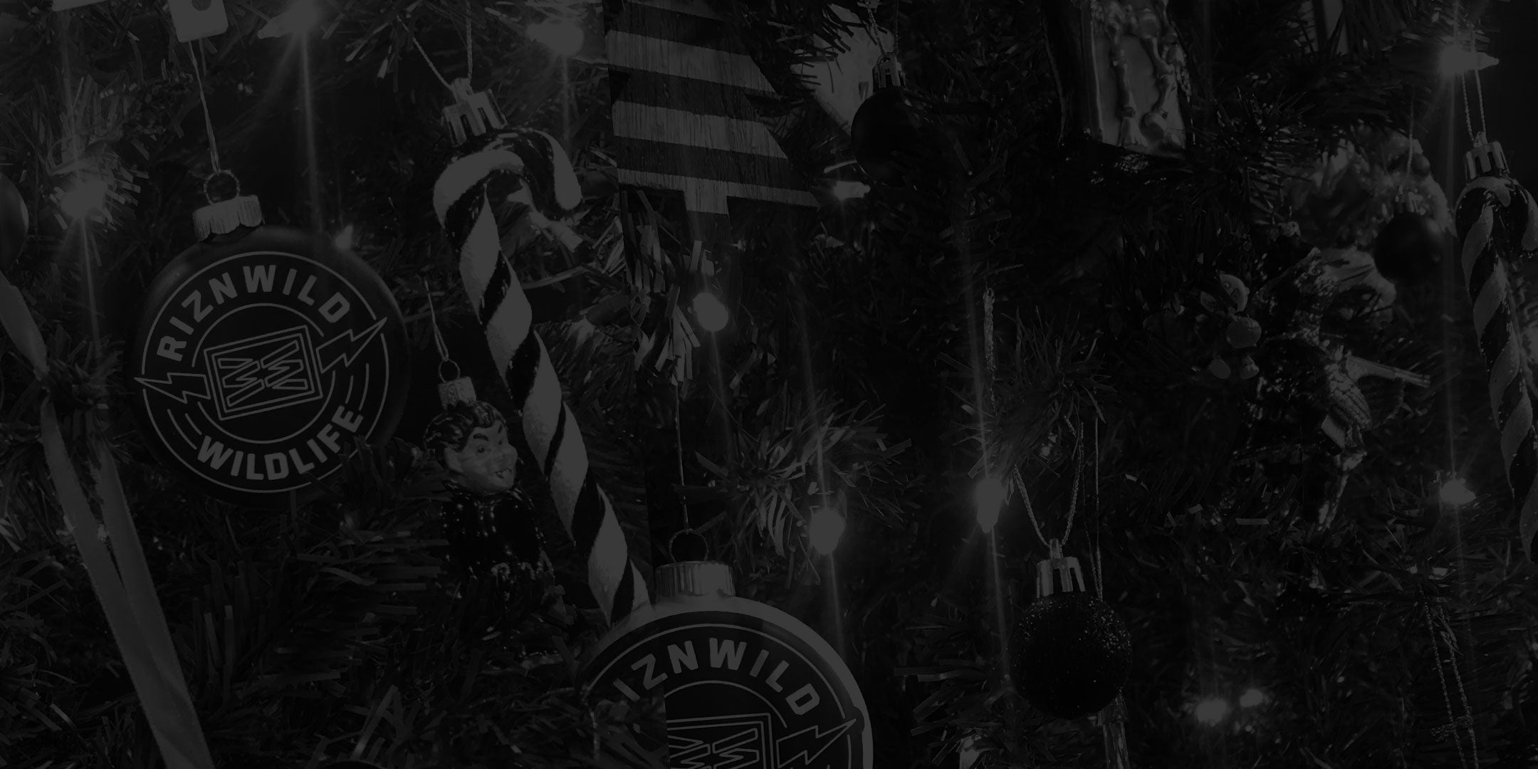 RIZNWILD Cyber Monday Sale