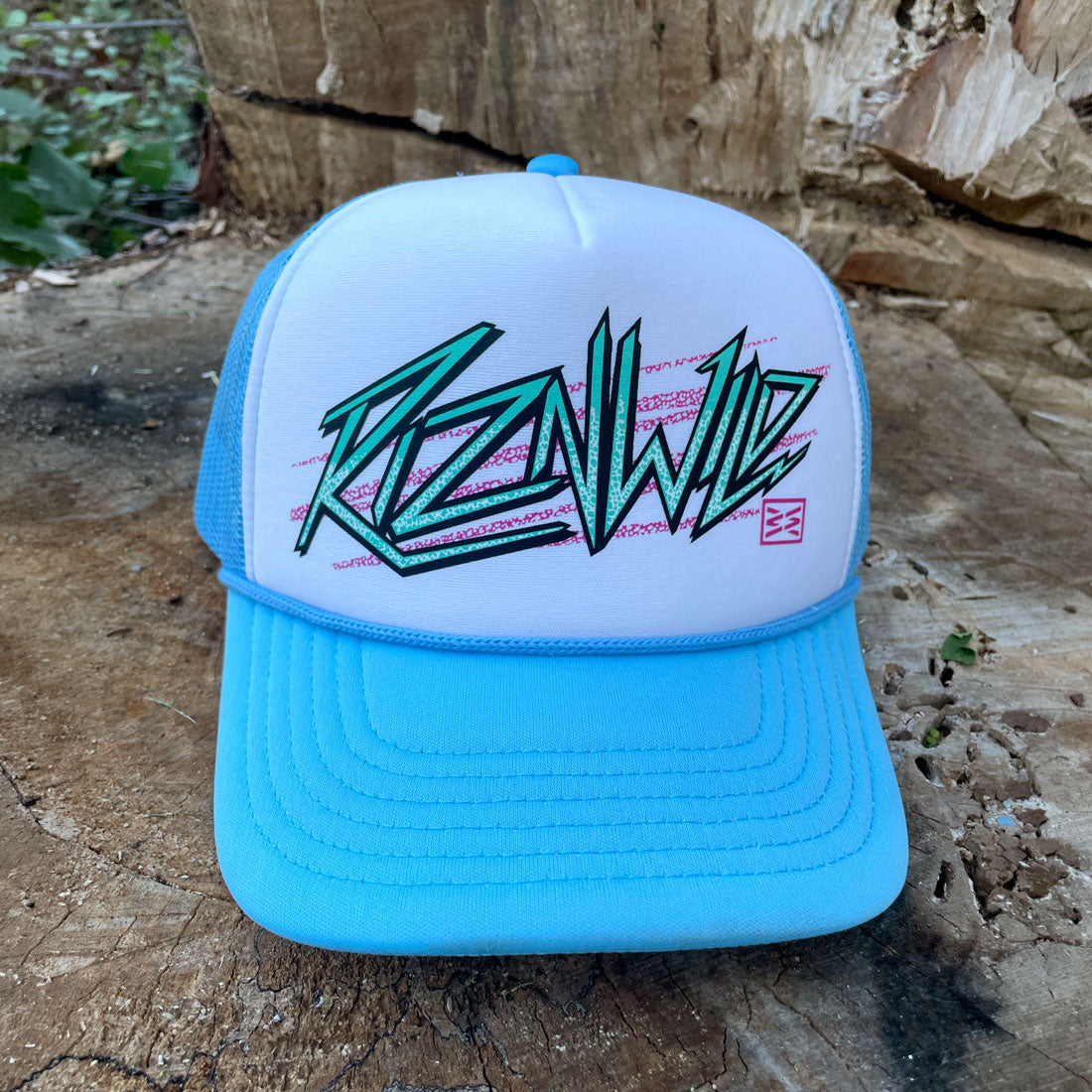 Baby blue curved brim hat with turquoise and pink Electra logo