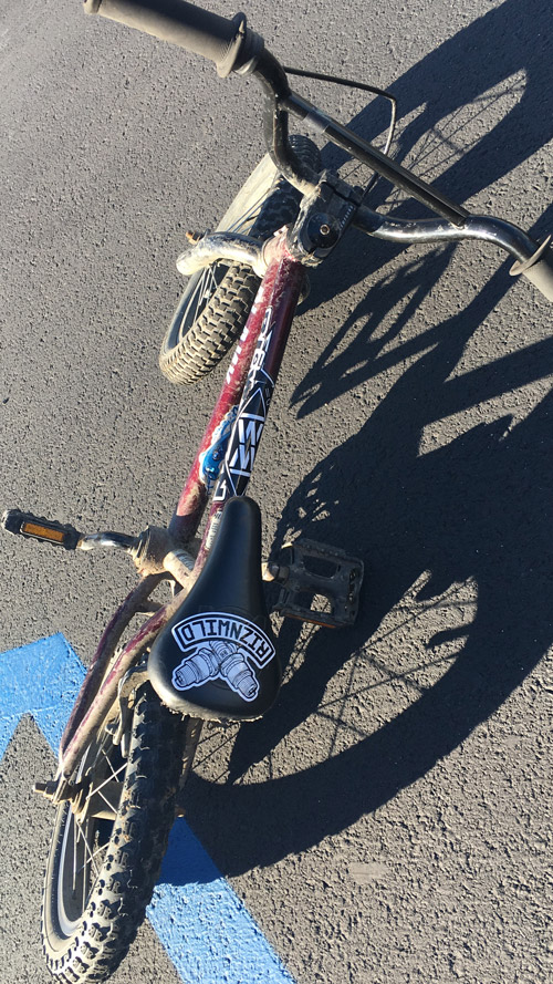 Travis Son's BMX bike